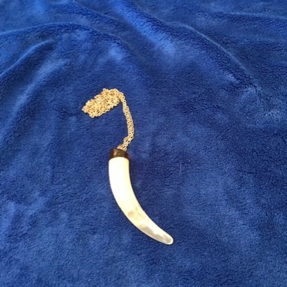 Horn Necklace